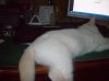 100_2145.jpg