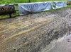 IMG_2341.jpg