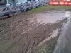 IMG01274-20130428-1434.jpg