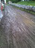 IMG01279-20130428-1440.jpg