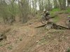 DSCN4699.jpg