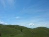 DSCN4740.jpg