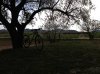 IMG_0517_600.jpg