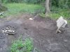 2013-05-08 19.28.49.jpg