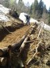 WP_000479.jpg