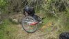SDC18760.jpg