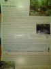 WP_20130517_010.jpg