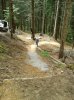 WP_000489.jpg