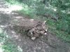 2013-05-18 10.21.46.jpg