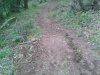 2013-05-18 10.22.00.jpg