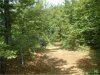 DSCF038small.jpg