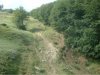 DSCF0368small.jpg