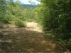 DSCF0376.small.jpg