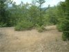 DSCF0377small.jpg