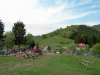 DSCN0290_small.jpg