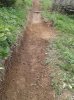 WP_000513.jpg