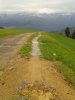 WP_000522.jpg