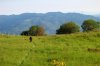 IMG_2415 copy.jpg