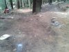 WP_000539.jpg