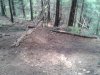 WP_000540.jpg