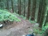 WP_000546.jpg