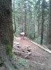 WP_000554.jpg