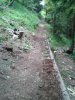 WP_000556.jpg