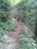 WP_000559.jpg