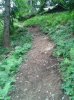 WP_000562.jpg