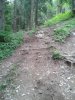 WP_000569.jpg