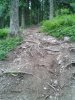 WP_000571.jpg