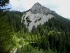 DSCN3773 1.jpg