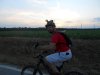 Fabio-no... 001.jpg