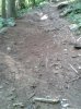 WP_000583.jpg