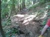WP_000591.jpg