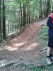 WP_000593.jpg