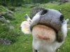 20130714_142605.jpg