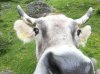 20130714_142606.jpg
