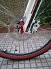 WP_000974.jpg