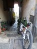 DSCN4981 resize.jpg
