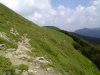IMG_20130721_125528.jpg