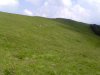 IMG_20130721_130106.jpg