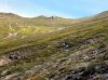 DSC09906s.jpg