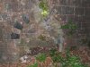 DSCF3147.jpg