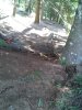 WP_000609.jpg