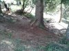 WP_000610.jpg
