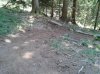 WP_000613.jpg