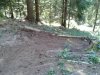 WP_000614.jpg
