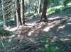 WP_000615.jpg