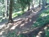 WP_000616.jpg